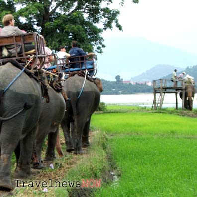 Elephants by the Lak Lake in Dak Lak