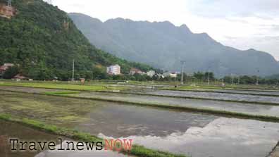 flooded fields ready for growing rice