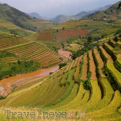 Golden rice terraces at Mu Cang Chai, Yen Bai, Vietnam