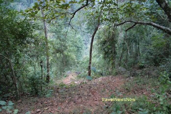 Forest around the Coc Bo Cave at Pac Bo