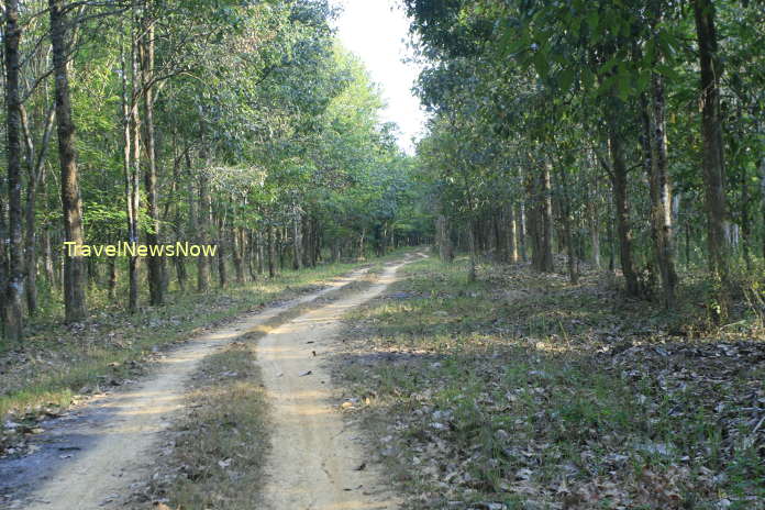 A birding trail at Cat Tien National Park