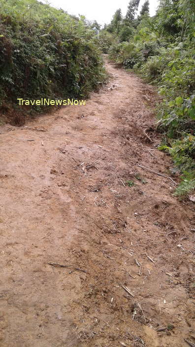 The trekking tour to Mount Ky Quan San starts with a steep dirt path through a bamboo forest
