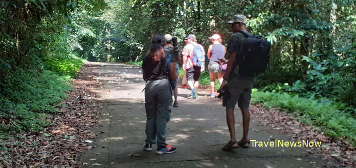 A birding trail at the Cuc Phuong National Park in Ninh Binh Province, Vietnam