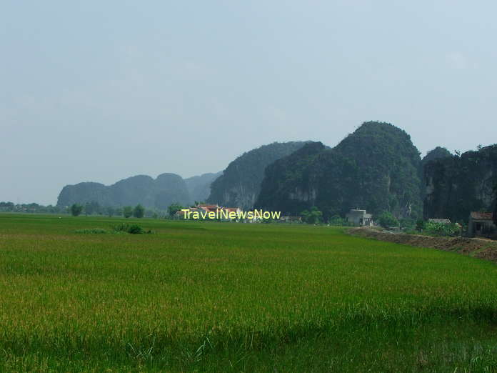 Rice fields at Thung Nang, Ninh Binh