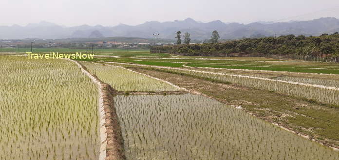 Rice fields and mountains at Son La in late March, early April