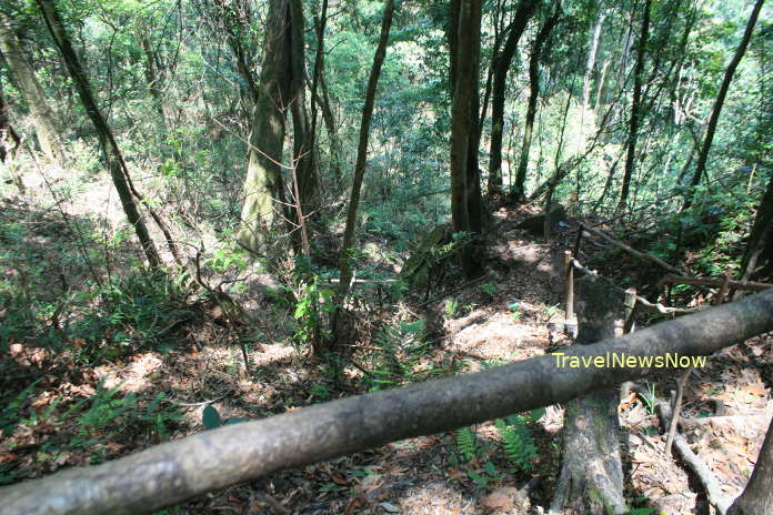 A trail through the forest on the Pha Luong Mountain on the border between Vietnam and Laos