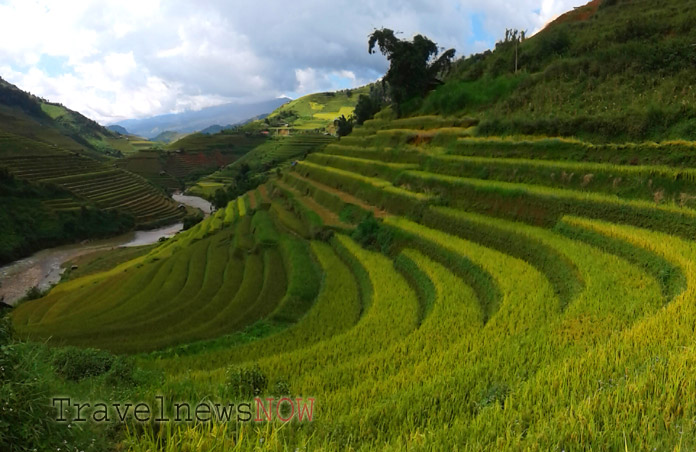 Impressive golden rice terraces at Mu Cang Chai, Yen Bai, Vietnam
