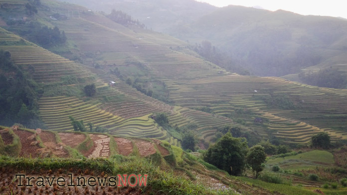 Rice terraces at Mu Cang Chai in the early morning
