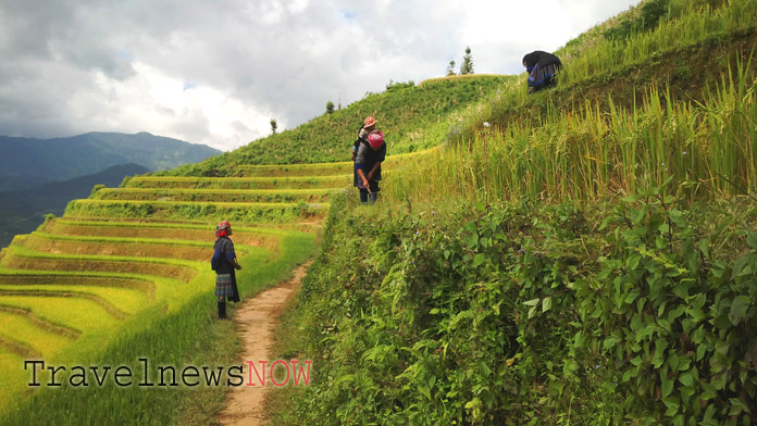 Mu Cang Chai Tour: Vietnam Adventure amid Rice Terraces