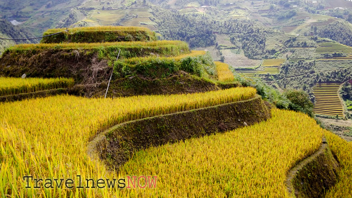 An attractive spot for photography at Mu Cang Chai