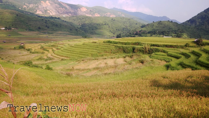 Lovely rice fields at Nam Bung, Van Chan, Yen Bai