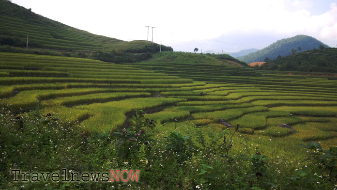 Impressive rice terraces at Nam Muoi, Van Chan, Yen Bai