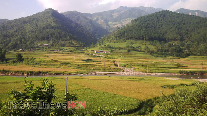 Scenic rice fields and mountains in the backdrop at Tu Le, Yen Bai