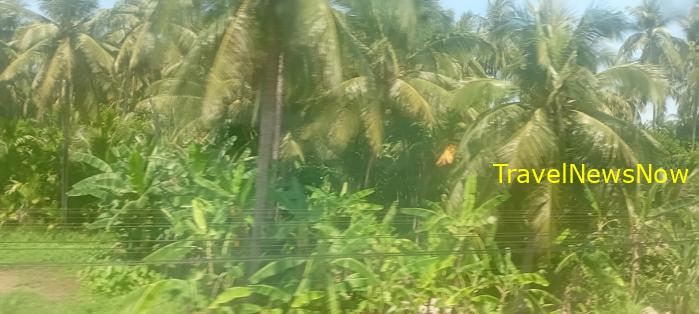 Travel guide to Binh Dinh, Vietnam Travel guide to Binh Dinh, Vietnam