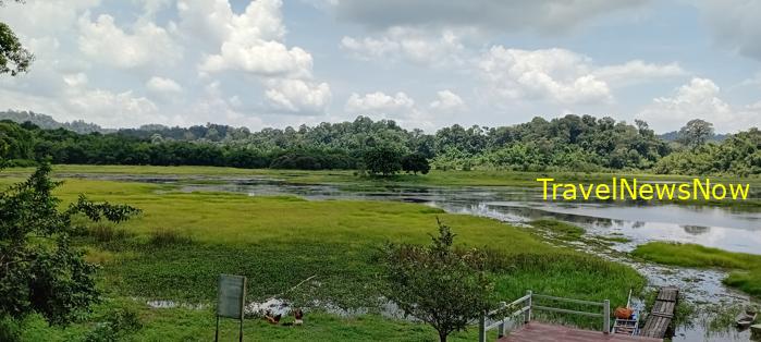 Birding at Cat Tien National Park in southern Vietnam