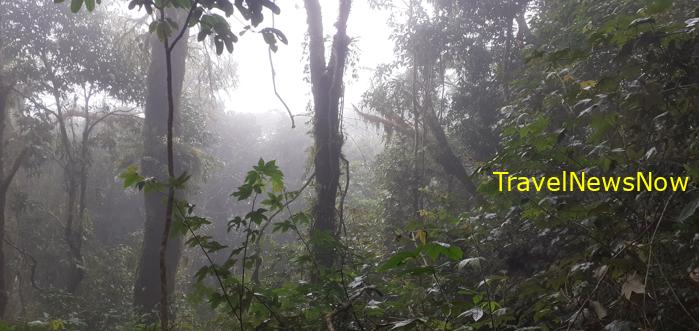 Travel guide to Da Lat, Vietnam Travel guide to Da Lat, Vietnam